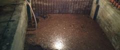 photo5